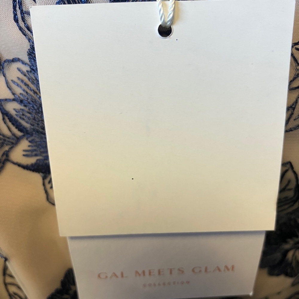 ✨ Gal Meets Glam “Rosemary” Dress – Size 16 – BNWT ✨ - Picture 7 of 7